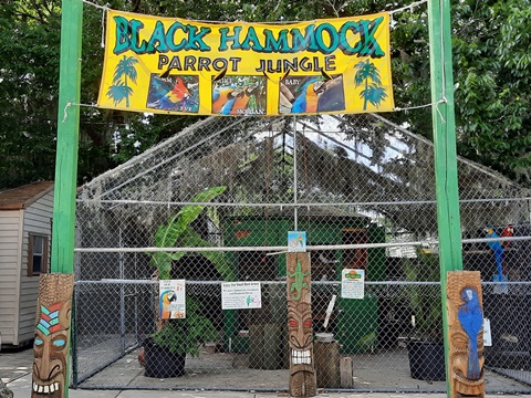 black hammock